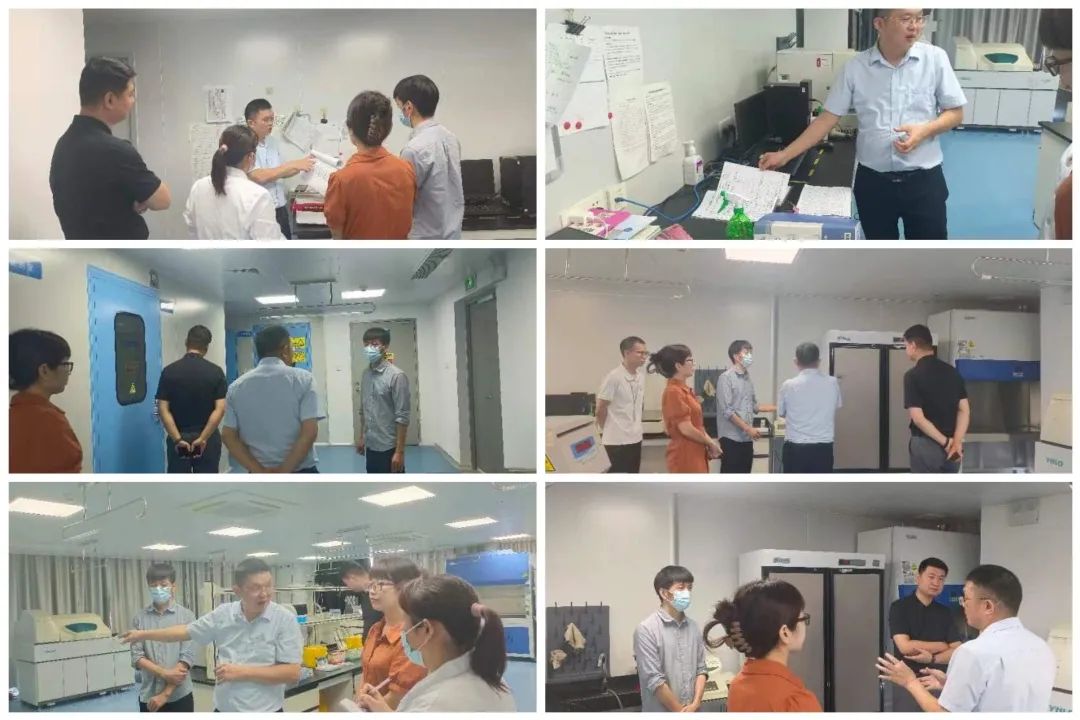 喜讯！中景医学顺利通过ISO9001质量管理体系认证
