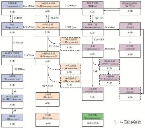 质谱检测技术 图片